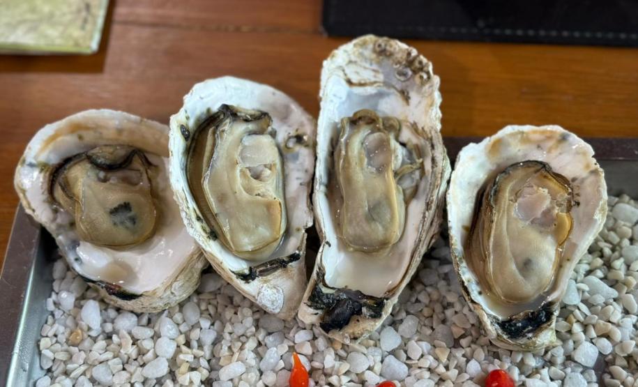 Estado investe R$ 3 milhões em laboratório de sementes de ostra cultivada no Litoral