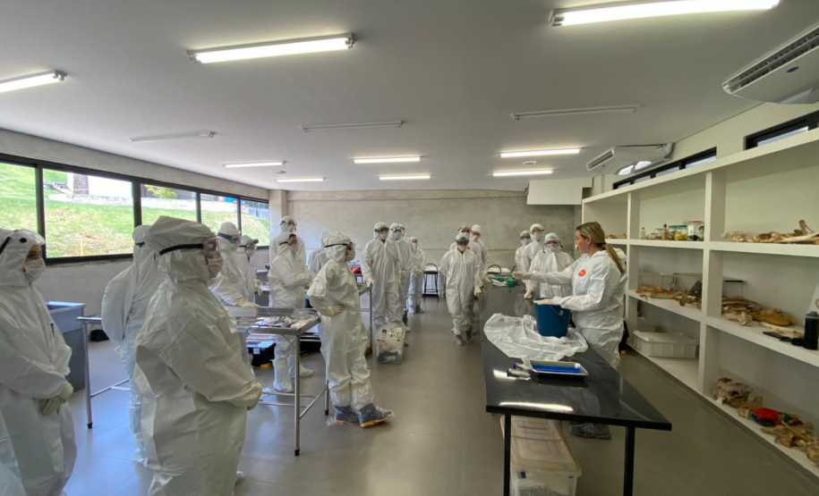 Treinamento sobre suspeitas e emergências avícolas é promovido pelo Governo do Paraná