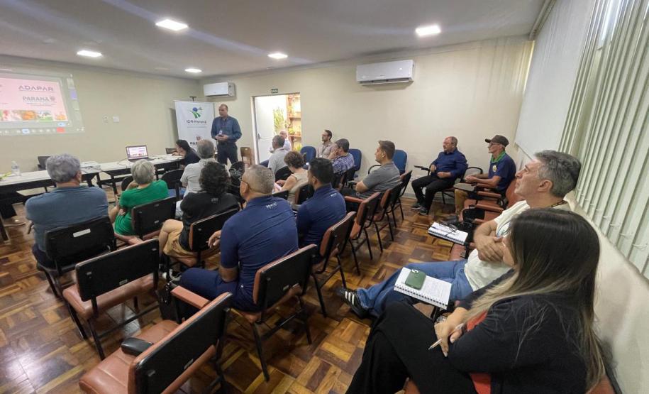 Adapar participa de encontro da Câmara Técnica da Sericicultura e reforça apoio ao setor