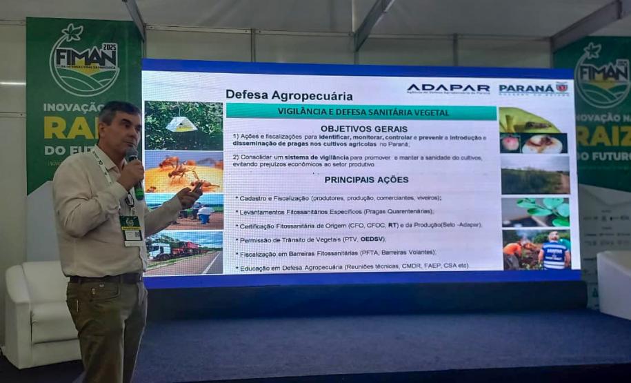 Adapar visita plantações e reforça orientações sobre vassoura-de-bruxa da mandioca