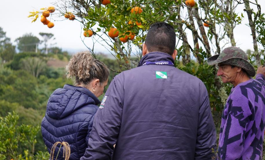 Inscrições para  capacitação de engenheiros agrônomos da Adapar para a emissão de certificados fitossanitários vão até 20 de fevereiro