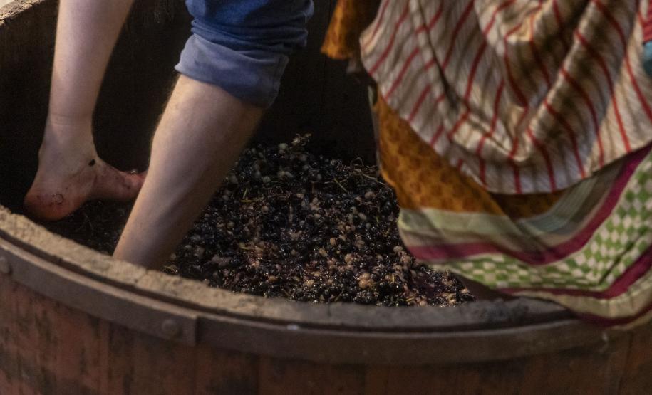 Governador em exercício Darci Piana participa do lançamento da Rota da Uva e Vinho.