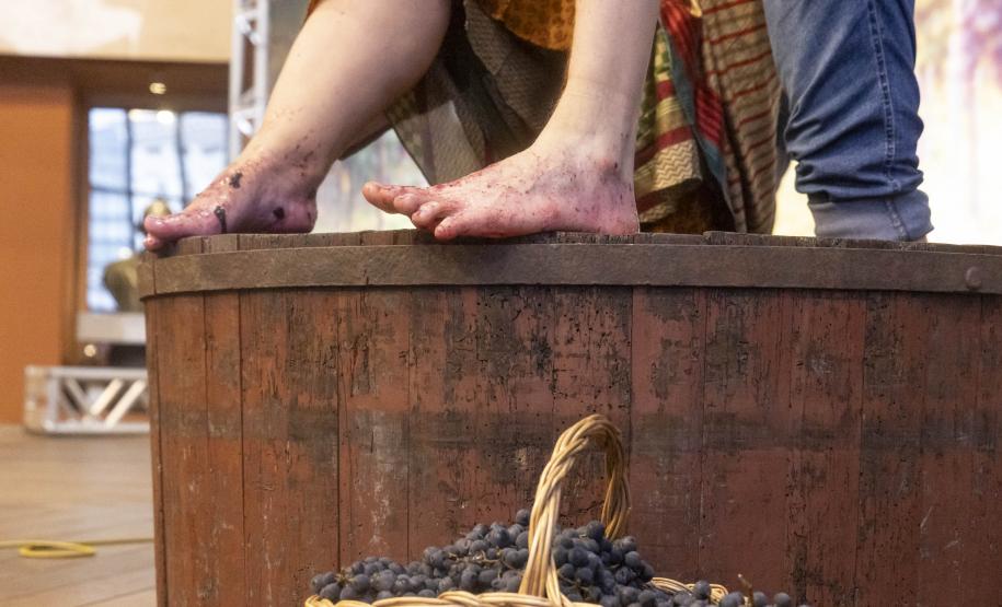 Governador em exercício Darci Piana participa do lançamento da Rota da Uva e Vinho.