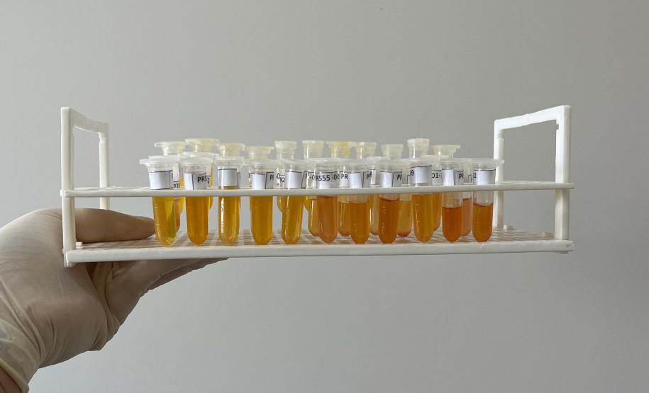 Adapar inicia novo cilclo de vigilância ativa para Influenza Aviária e Doença de Newcastle