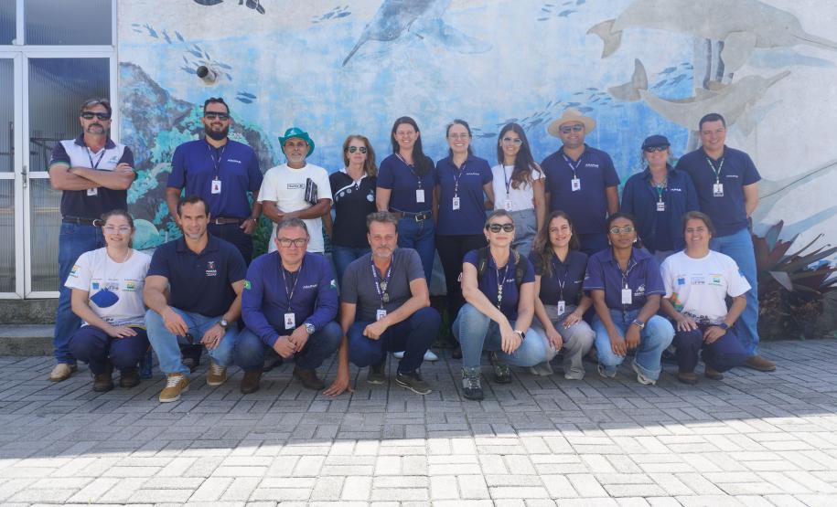 Adapar inicia operação que reforça prevenção à influenza aviária no Litoral do Paraná