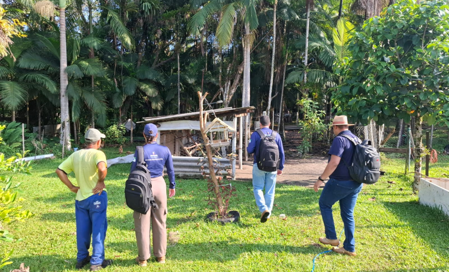 Com 414 fiscalizações, Adapar finaliza operação contra influenza aviária no Litoral