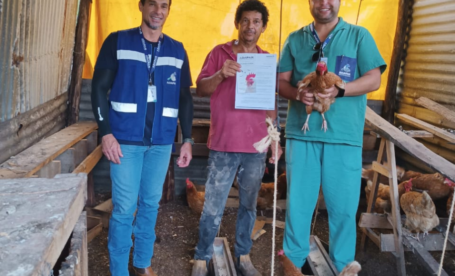 Com 414 fiscalizações, Adapar finaliza operação contra influenza aviária no Litoral