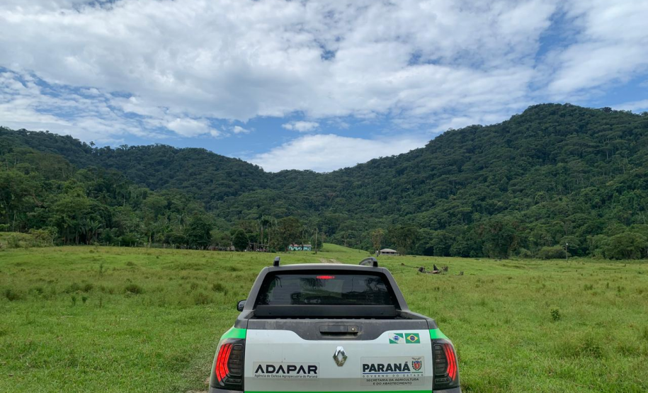 Com 414 fiscalizações, Adapar finaliza operação contra influenza aviária no Litoral