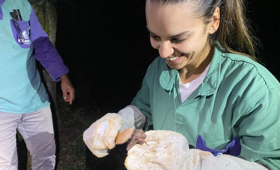 Adapar promove treinamento para controle de zoonoses em animais de produção