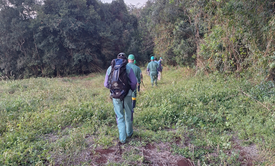 Ciclo de treinamento sobre zoonoses capacita novo grupo de servidores da Adapar