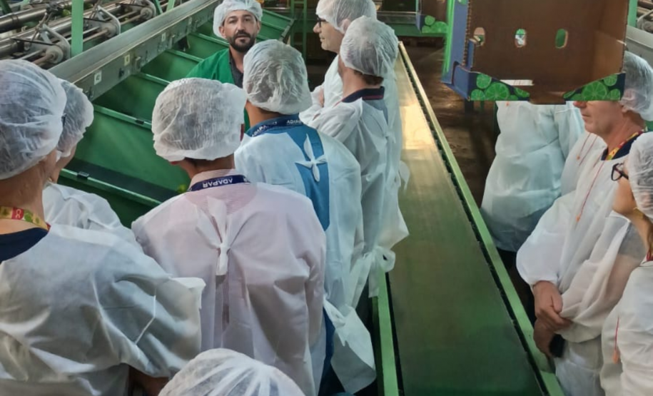 Fiscais da Adapar participam de intercâmbio técnico sobre citricultura em São Paulo