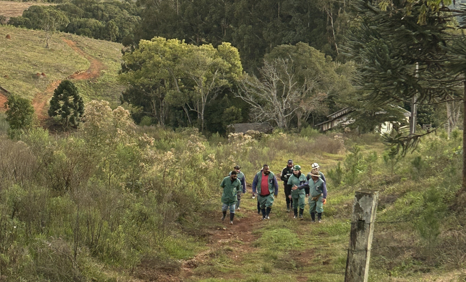 Ciclo de treinamento sobre zoonoses capacita novo grupo de servidores da Adapar