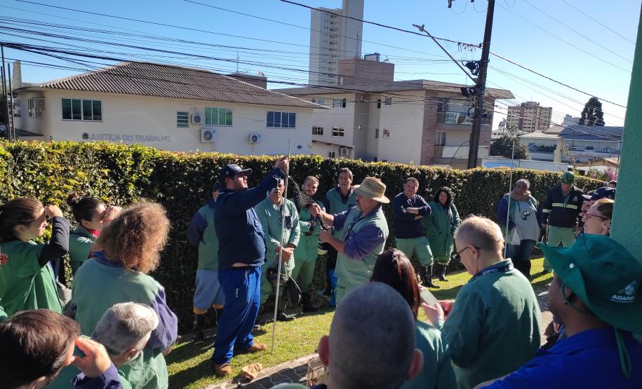 Ciclo de treinamento sobre zoonoses capacita novo grupo de servidores da Adapar