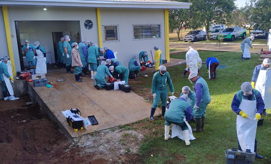 Ciclo de treinamento sobre zoonoses capacita novo grupo de servidores da Adapar