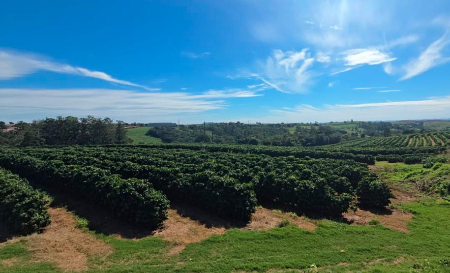 Adapar certifica produtores com Susaf e leva boas práticas do campo para a Expoingá