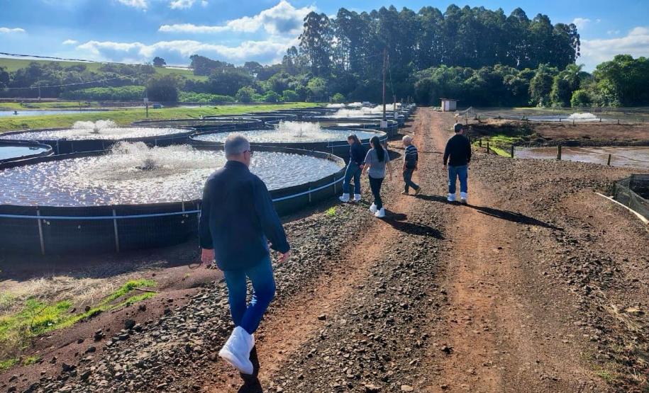 Adapar inicia projeto de biosseguridade na produção de tilápia com instituto norueguês