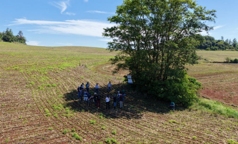 Adapar organiza treinamento de 31 novos servidores da área vegetal na região Norte do Estado