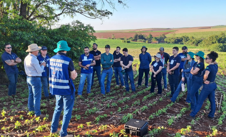 Adapar organiza treinamento de 31 novos servidores da área vegetal na região Norte do Estado