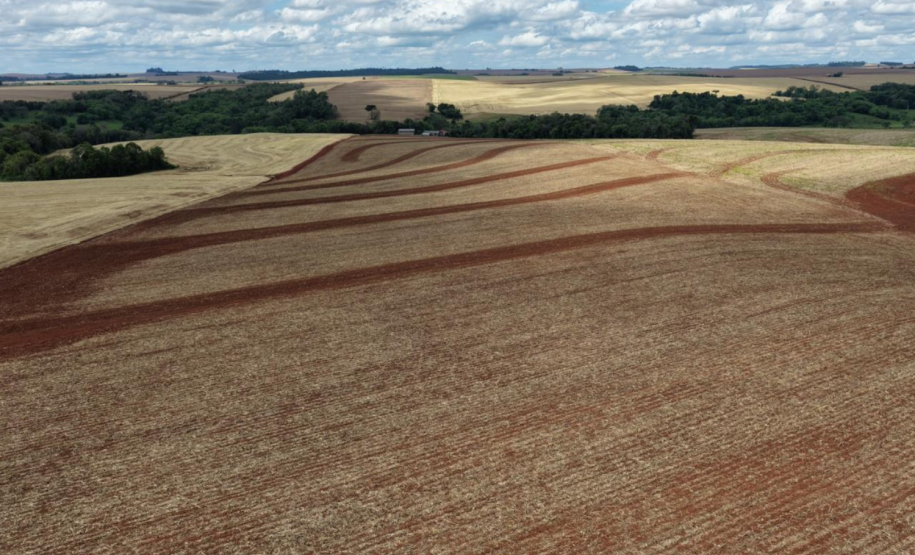 Adapar organiza treinamento de 31 novos servidores da área vegetal na região Norte do Estado