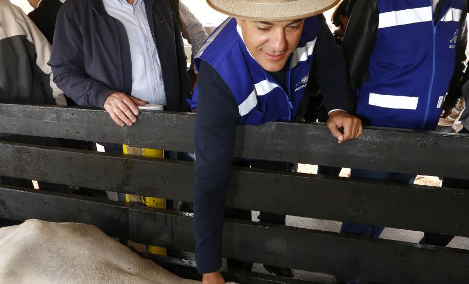 Governador Beto Richa lança junto com o secretário da Agricultura e do Abastecimento, Norberto Ortigara e o diretor presidente da Adapar, Inácio Kroetz, Campanha Estadual de Vacinação contra Febre Aftosa de 2014. Campo Magro, 30-04-14