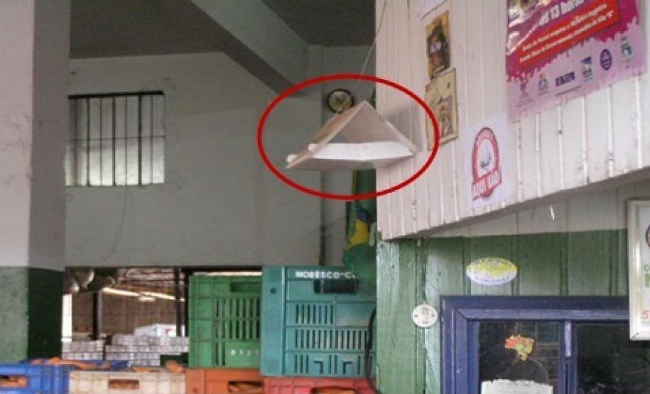 No detalhe (círculo vermelho) a armadilha para Cydia pomonella.