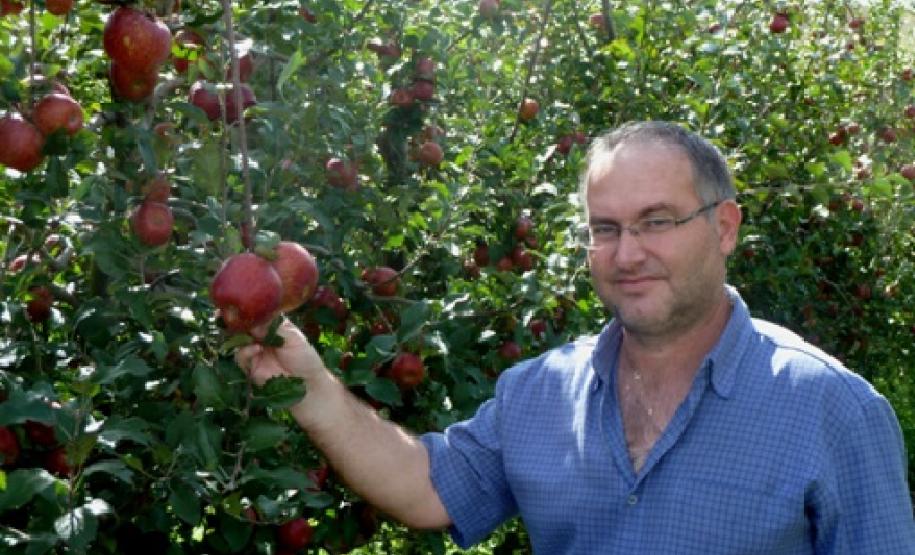 Pomar de maçã Fuji em Palmas-PR e o coordenador do Programa de Sanidade da Fruticultura da ADAPAR, Paulo Pazin Marques.