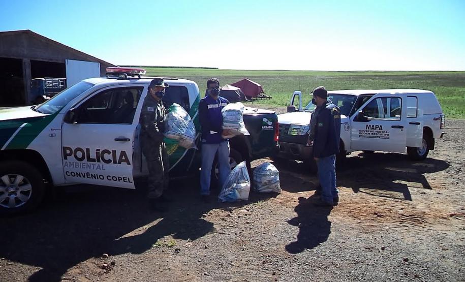 Agrotóxicos apreendidos em operação conjunta