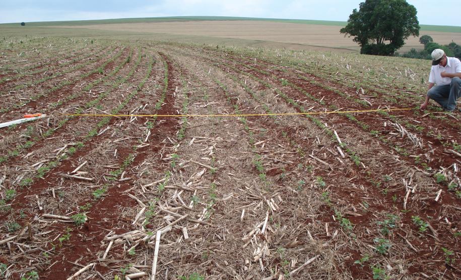 Dimensionamento de Terraços