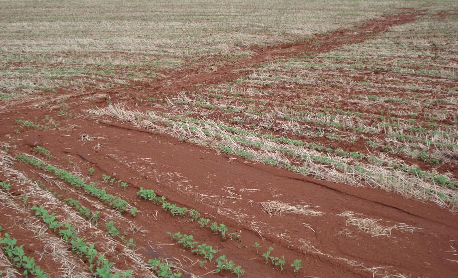Erosão em áreas sem manejo de Solos e Água