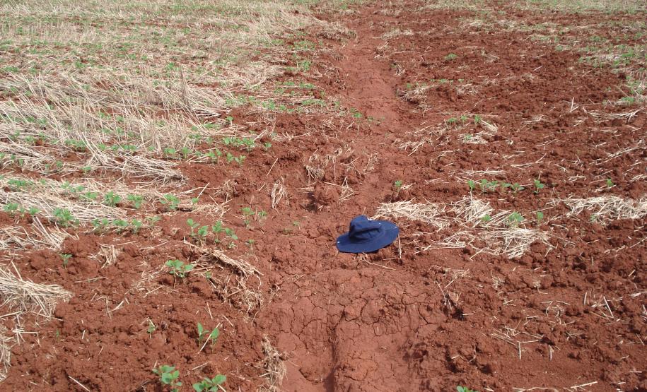 Sulco de Erosão em Plantio sem Manejo de Solos e Água