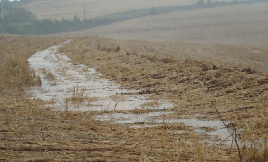 Eficiência de terraço na absorção da água em área com plantio direto na palha