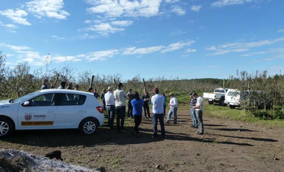 ADAPAR promove reunião técnica sobre o cancro europeu das pomáceas em Palmas/PR
