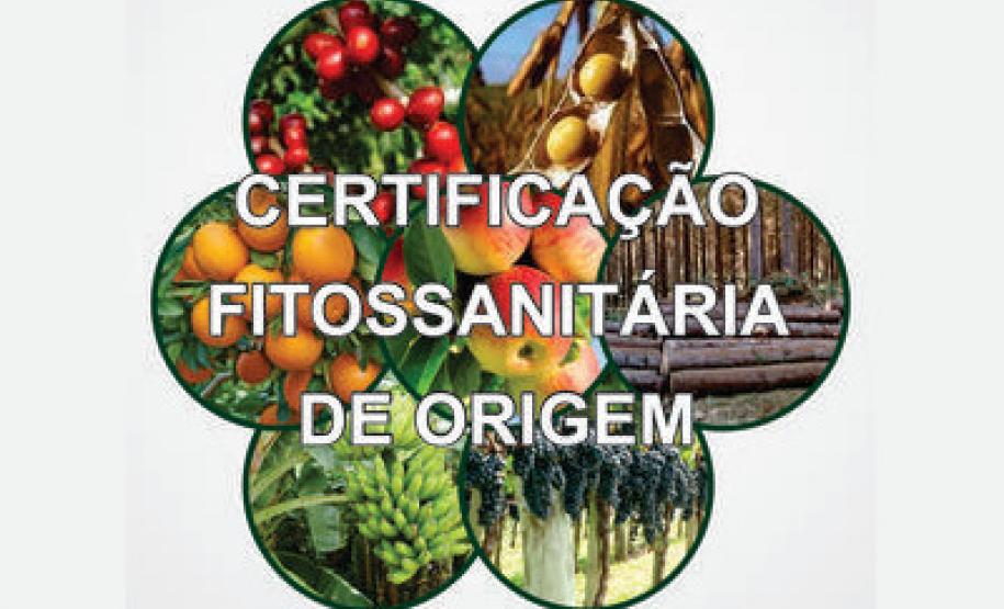 II Semana Integrada de Cursos CFO / CFOC