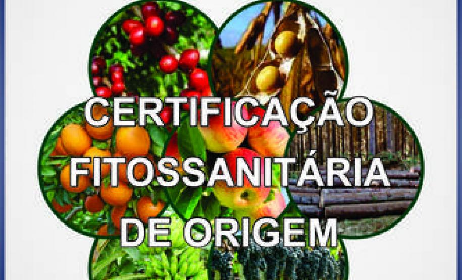 Semana Integrada CFO