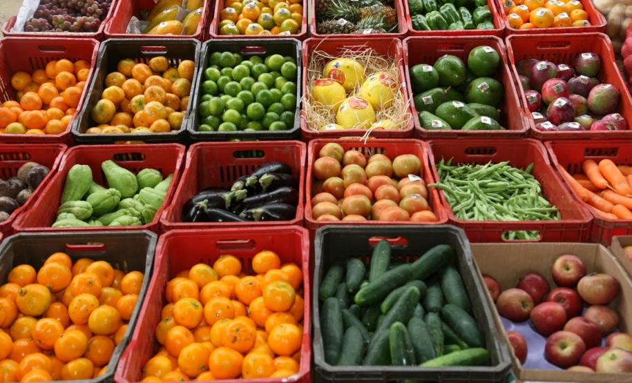 Adapar participará da 18ª EXPOCOP com palestras sobre citricultura e receituário agronômico.