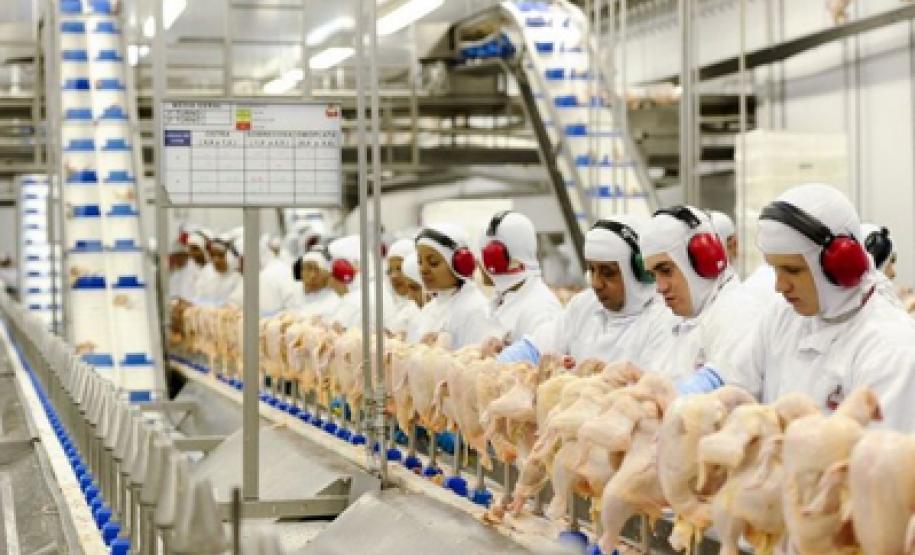 Paraná já é o Estado que mais produz carnes do País Paraná já é o Estado que mais produz carnes do País