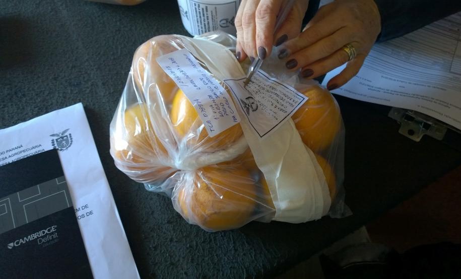 Resíduo agrotóxicos ADAPAR divulga resultados do monitoramento de agrotóxicos em produtos agrícolas.