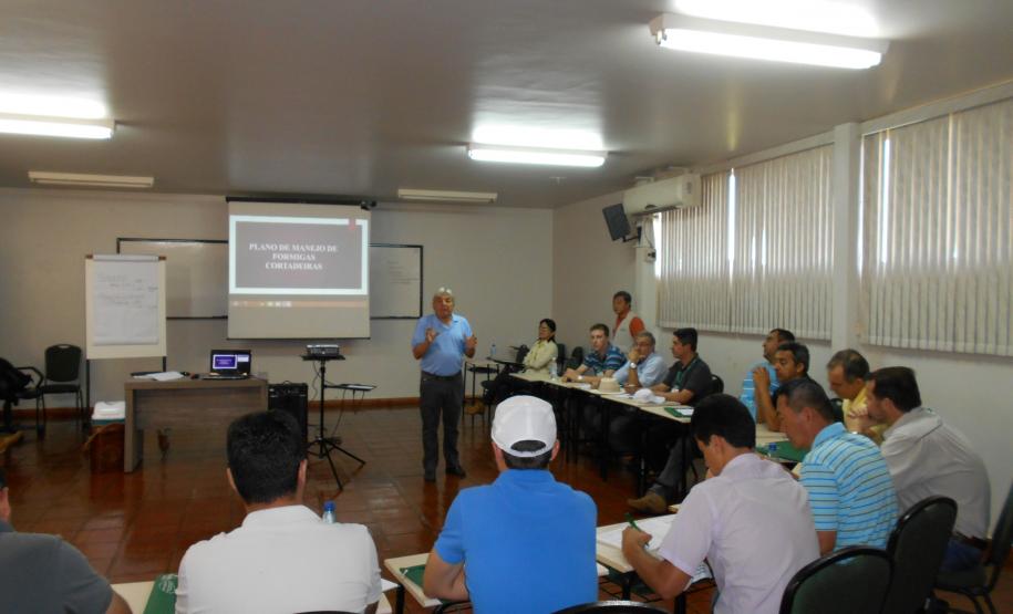 Formigas Cortadeiras