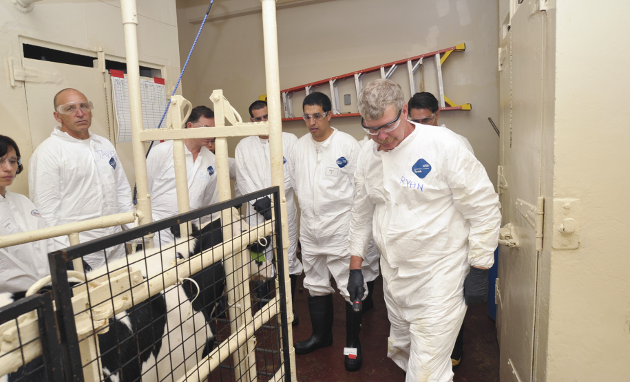 Avaliação clínica de bovino com febre aftosa. Avaliação clínica de bovino com
febre aftosa.