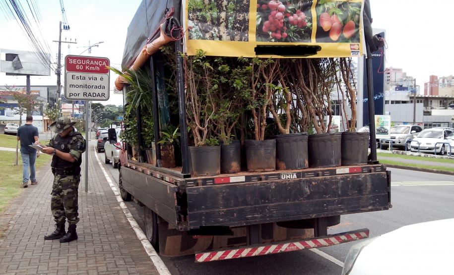 Comércio Ambulante de Mudas e Sementes é Coibido pela Adapar.