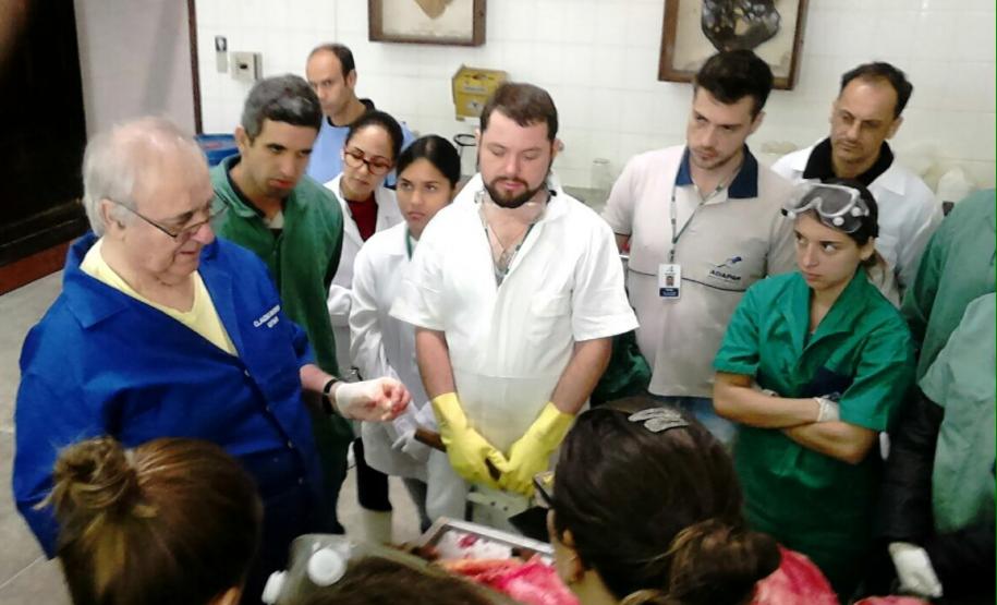 Fiscais da Adapar participam do XI Seminário sobre Encefalopatias Espongiformes Transmissíveis