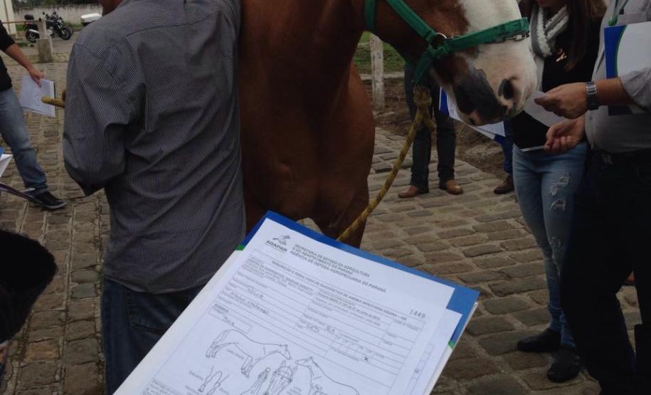 MORMO: Adapar Promoveu Curso de “Atualização Sobre Mormo e Treinamento de Maleinização”. MORMO: Adapar Promoveu Curso de “Atualização Sobre Mormo e Treinamento de Maleinização”.