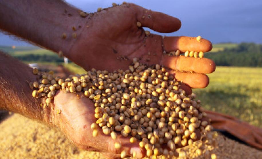 Agrotóxicos: Tema é debatido no FONESA