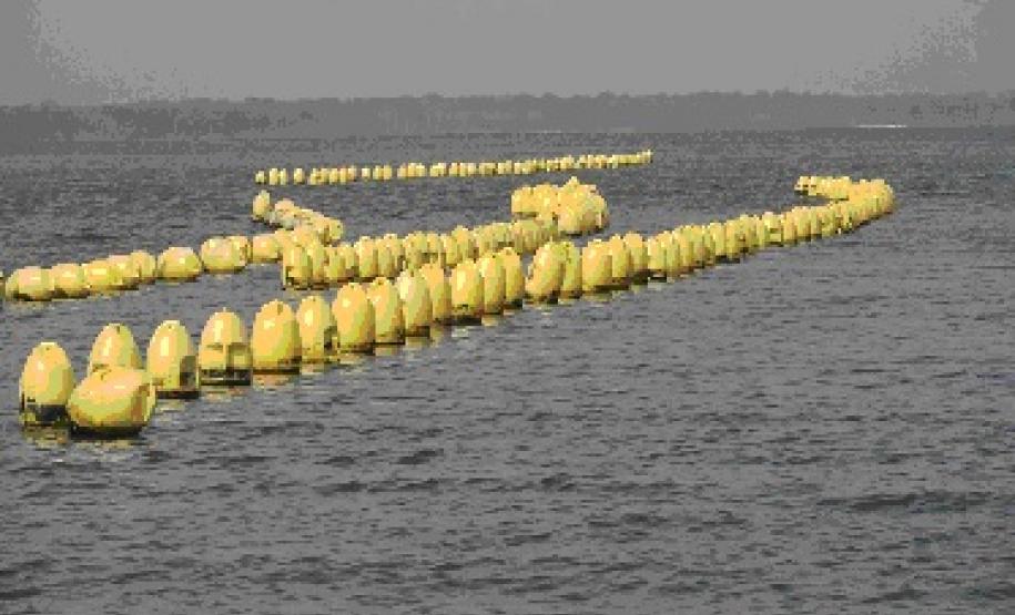 NOTA TÉCNICA 02: Liberada a Retirada de Ostras e Mexilhões no Litoral do Paraná NOTA TÉCNICA 02: Liberada a Retirada de Ostras e Mexilhões no Litoral do Paraná