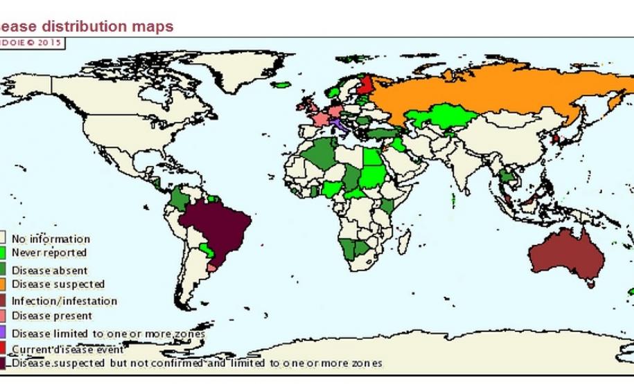Febre Q, saiba mais sobre esta zoonose. Febre Q, saiba mais sobre esta zoonose.