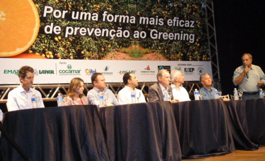 Greening Paranavaí