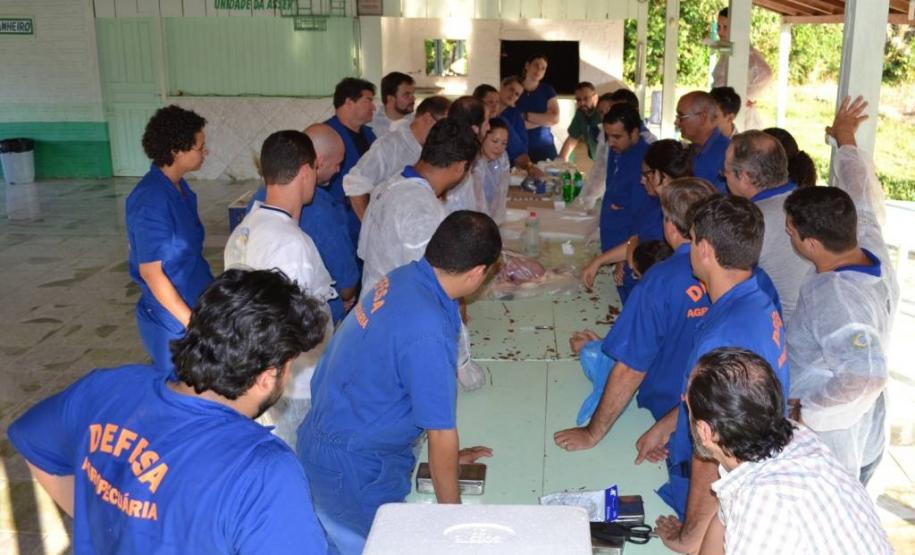 Sanidade Avícola: Adapar participa de treinamento do GEASE em Rondônia