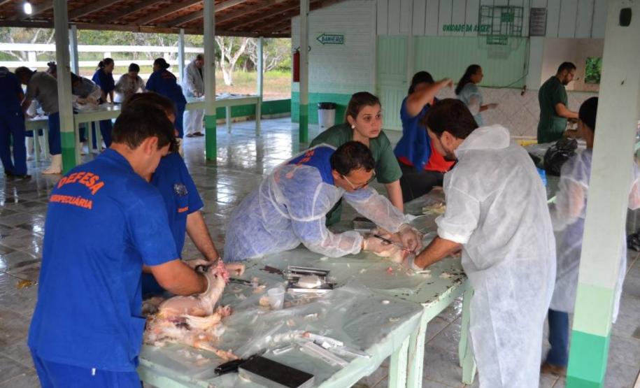 Sanidade Avícola: Adapar participa de treinamento do GEASE em Rondônia