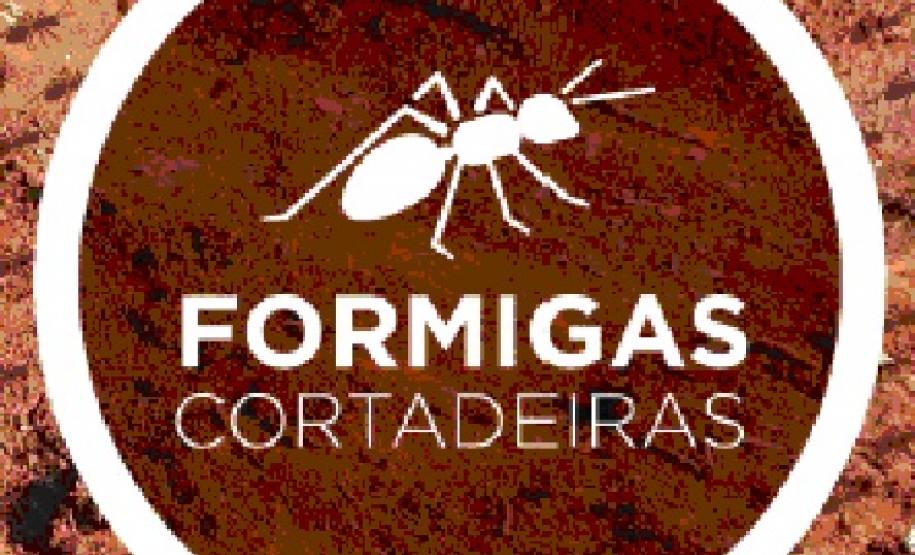 Formigas Cortadeiras: Adapar orienta sobre o combate desta praga