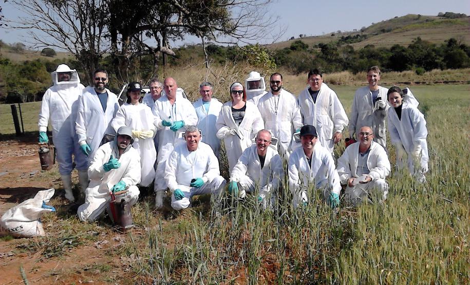 Saúde das Abelhas: Adapar realiza capacitação para monitoramento de apiários